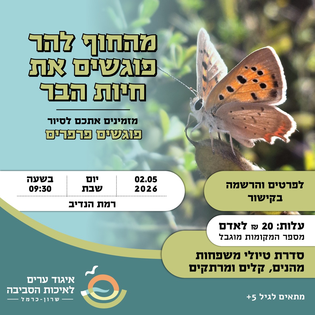 הזמנה לסיור פרפרים