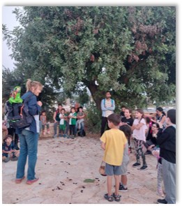שיתוף הציבור