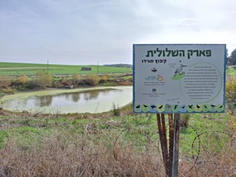 פארק בריכת החורף